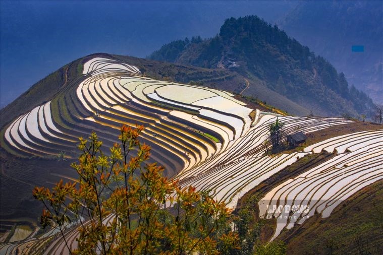 Tour Hà Nội - Mù Cang Chải - Cu Vai - Trạm Tấu 3N2Đ